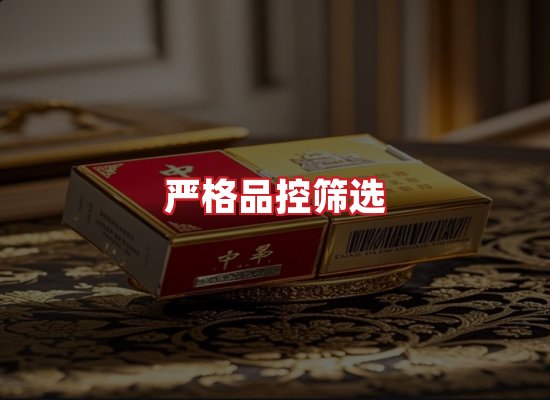 专业团队